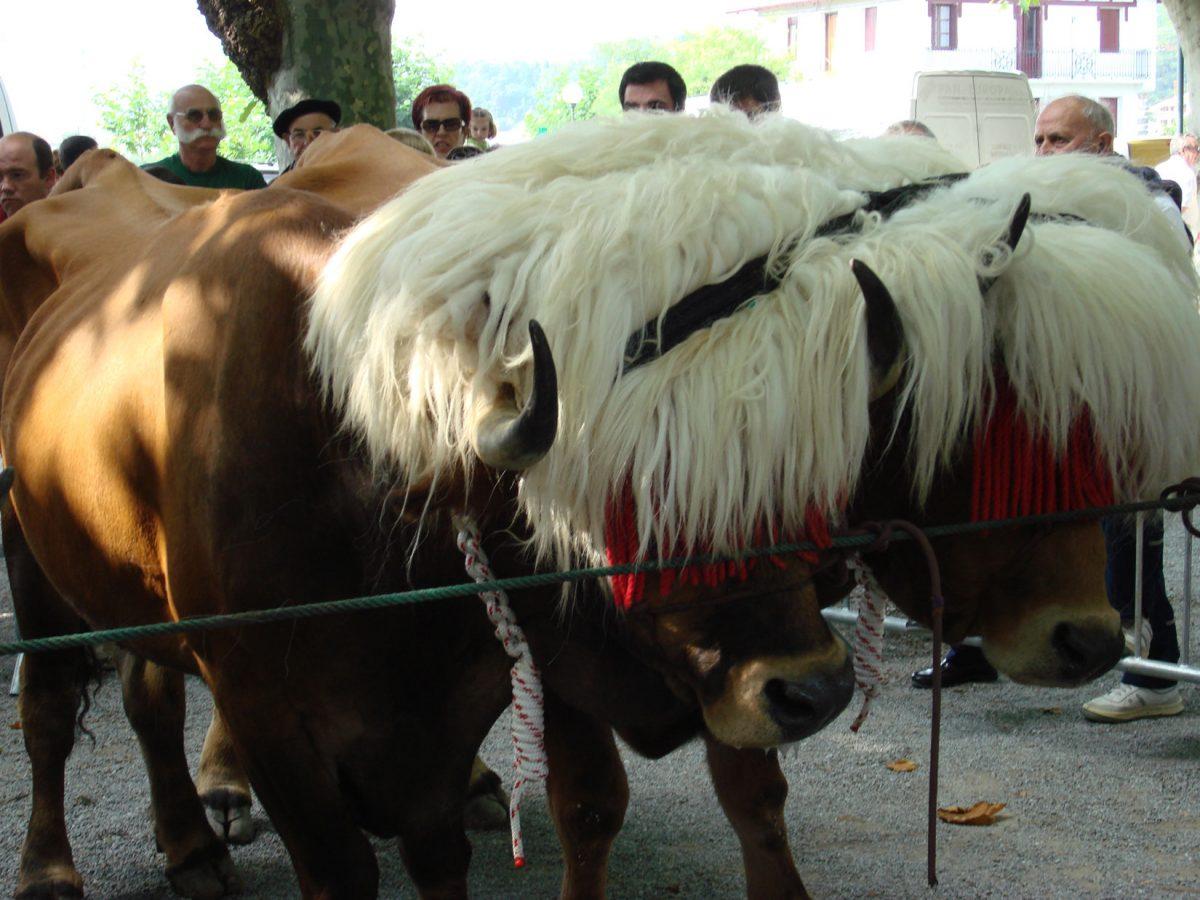 Baserritar Eguna-Hondarribia