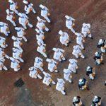 Destinos Euskadi Tamborrada Donostia San Sebastián compañias