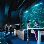 donostia aquarium destinos euskadi