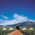 Bodega de vino en Euskadi